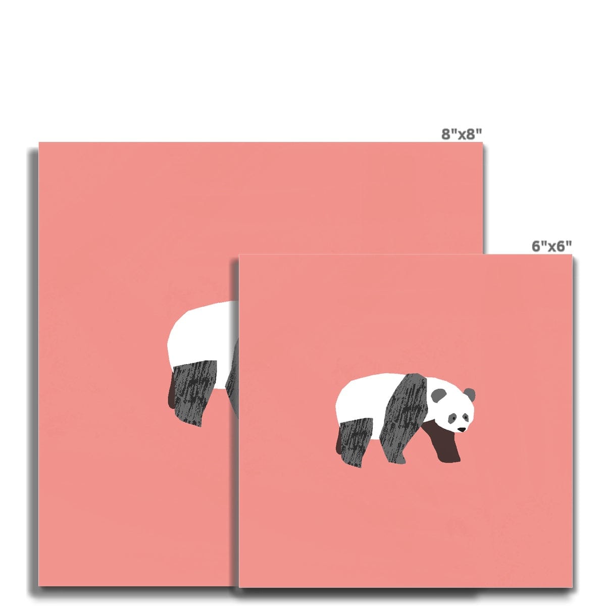 Fine art Safari - Panda Square Art Print