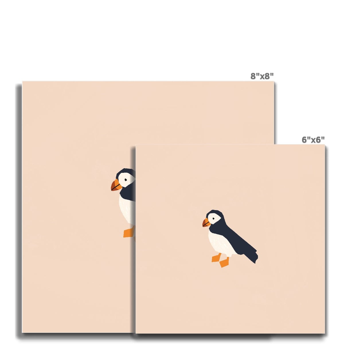 Fine art Safari - Puffin Square Art Print