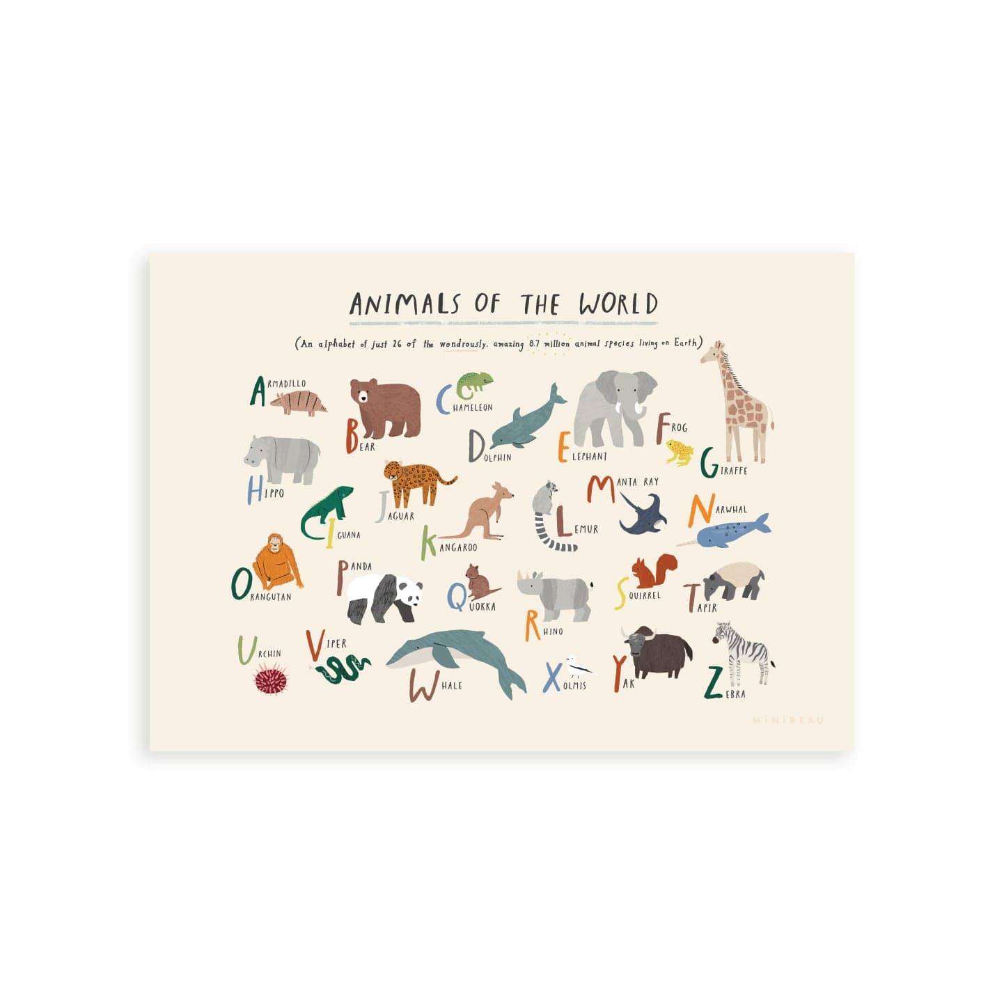 Our animals of the world art print consists of pictures of animals from around the world representing each letter of the alphabet, including a panda, kangaroo, viper and chameleon. Has text at the top saying animals of the world in large font and the text - An alphabet of just 26 of the wondrously, amazing 8.7 million animal species living on earth in brackets as a sub heading.