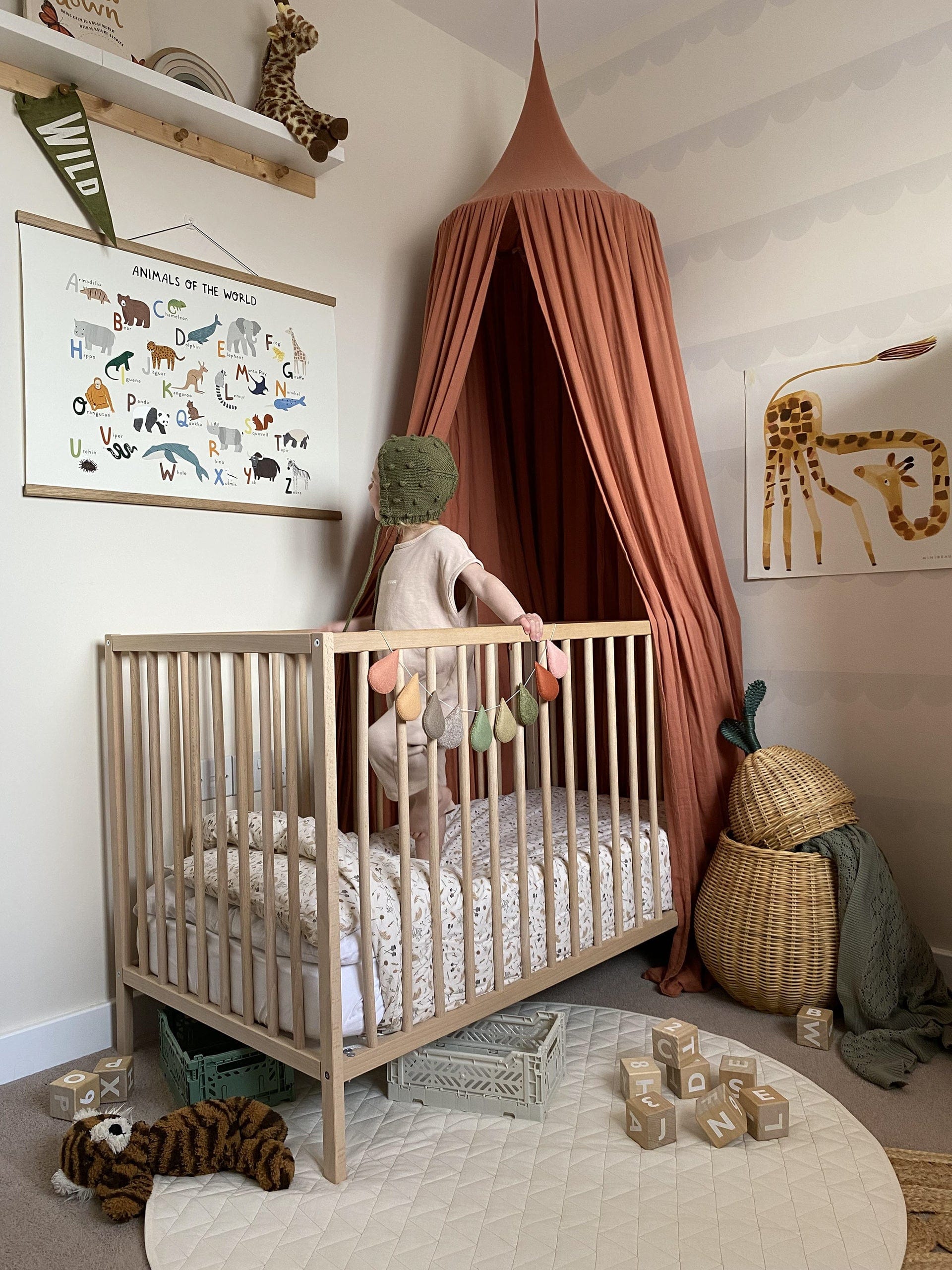 Photo of a child in a cot with a rust coloured canopy hanging over one end with some toys on the floor, looking at an art print. Our animals of the world art print consists of pictures of animals from around the world representing each letter of the alphabet, including a panda, kangaroo, viper and chameleon. Has text at the top saying animals of the world in large font and the text - An alphabet of just 26 of the wondrously, amazing 8.7 million animal species living on earth in brackets as a sub heading. 
