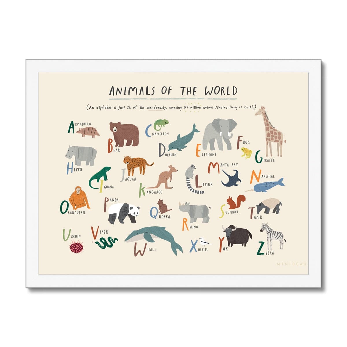 Art Print A4 (8x12") / White Frame Animals Of The World Alphabet Art Print