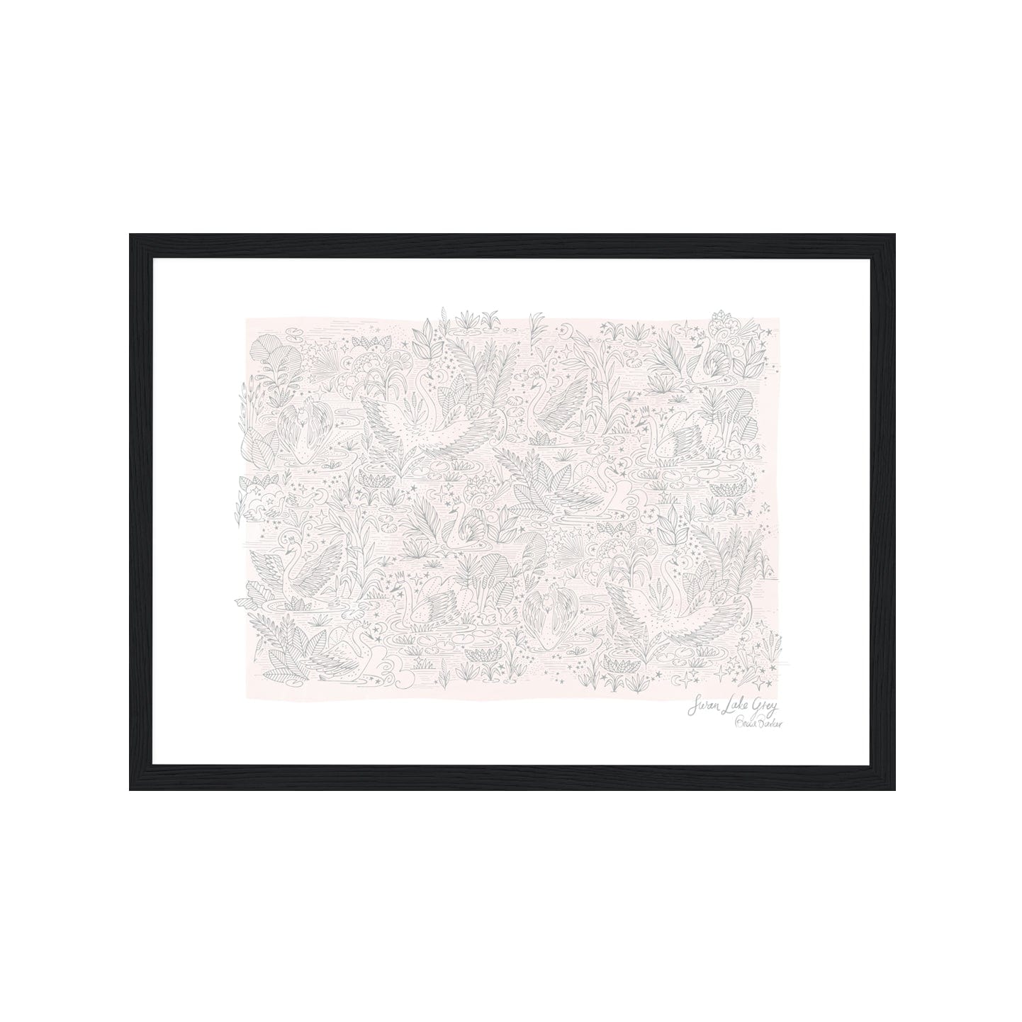 Art print in a black frame. Our swan lake grey art print features, fine grey lined drawing on a pale pink background. Showing detailed foliage, and elegant swans in small crowns gliding over a star filled lake.