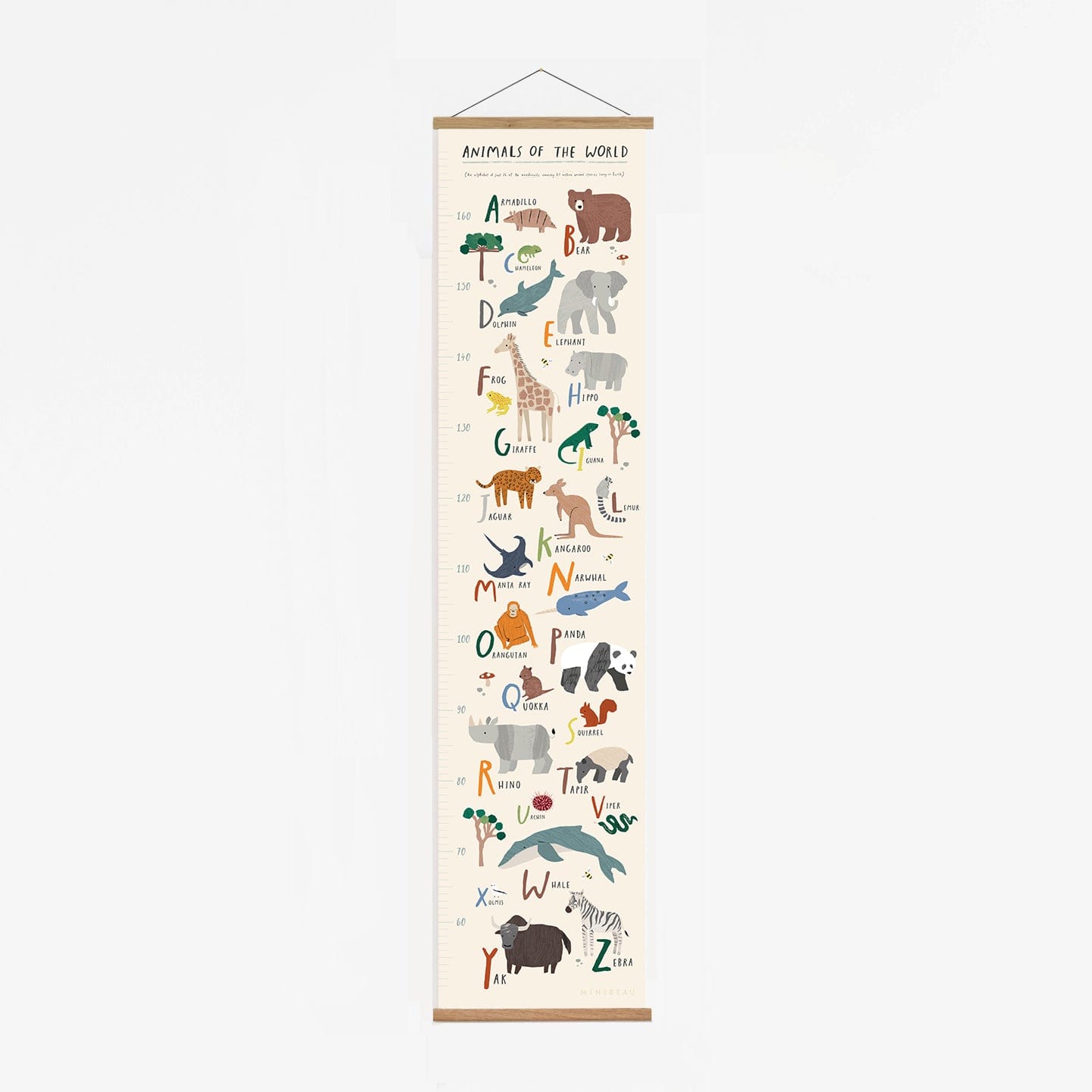 Our animals of the world height chart with solid oak hanger consists of pictures of animals from around the world representing each letter of the alphabet, including a panda, kangaroo, viper and chameleon. Has text at the top saying animals of the world in large font and the text - An alphabet of just 26 of the wondrously, amazing 8.7 million animal species living on earth in brackets as a sub heading.
