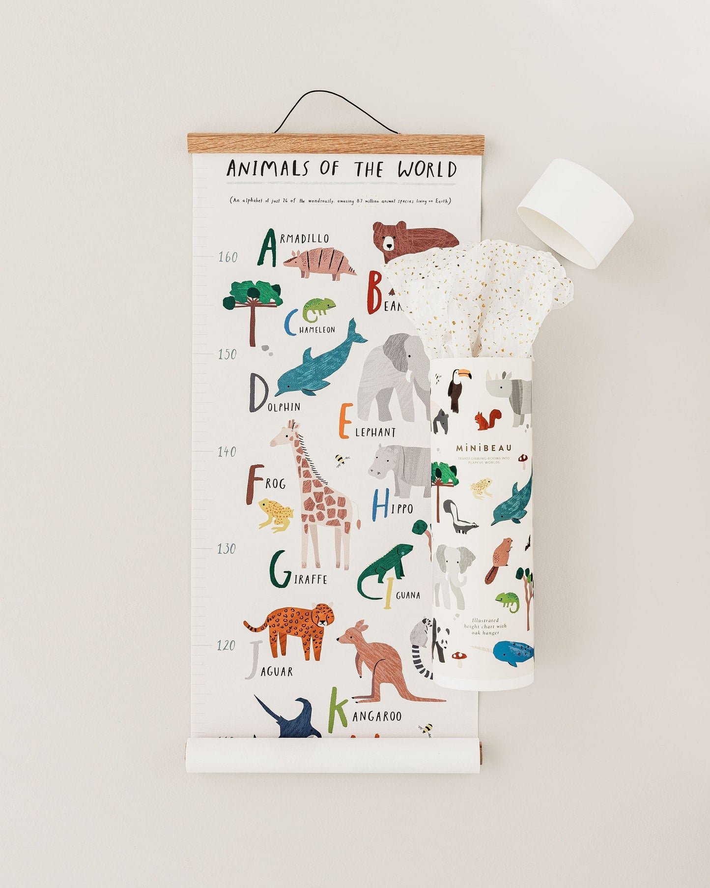 Animals Of The World Height Chart