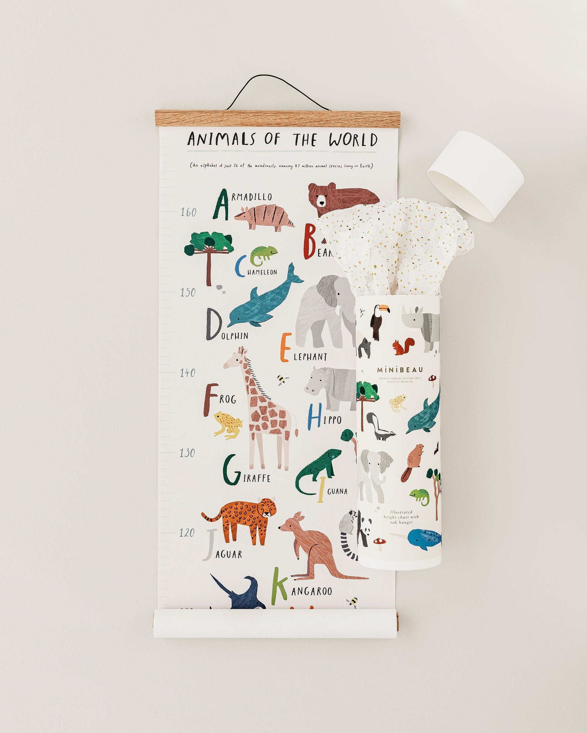 Height Chart Animals Of The World Height Chart