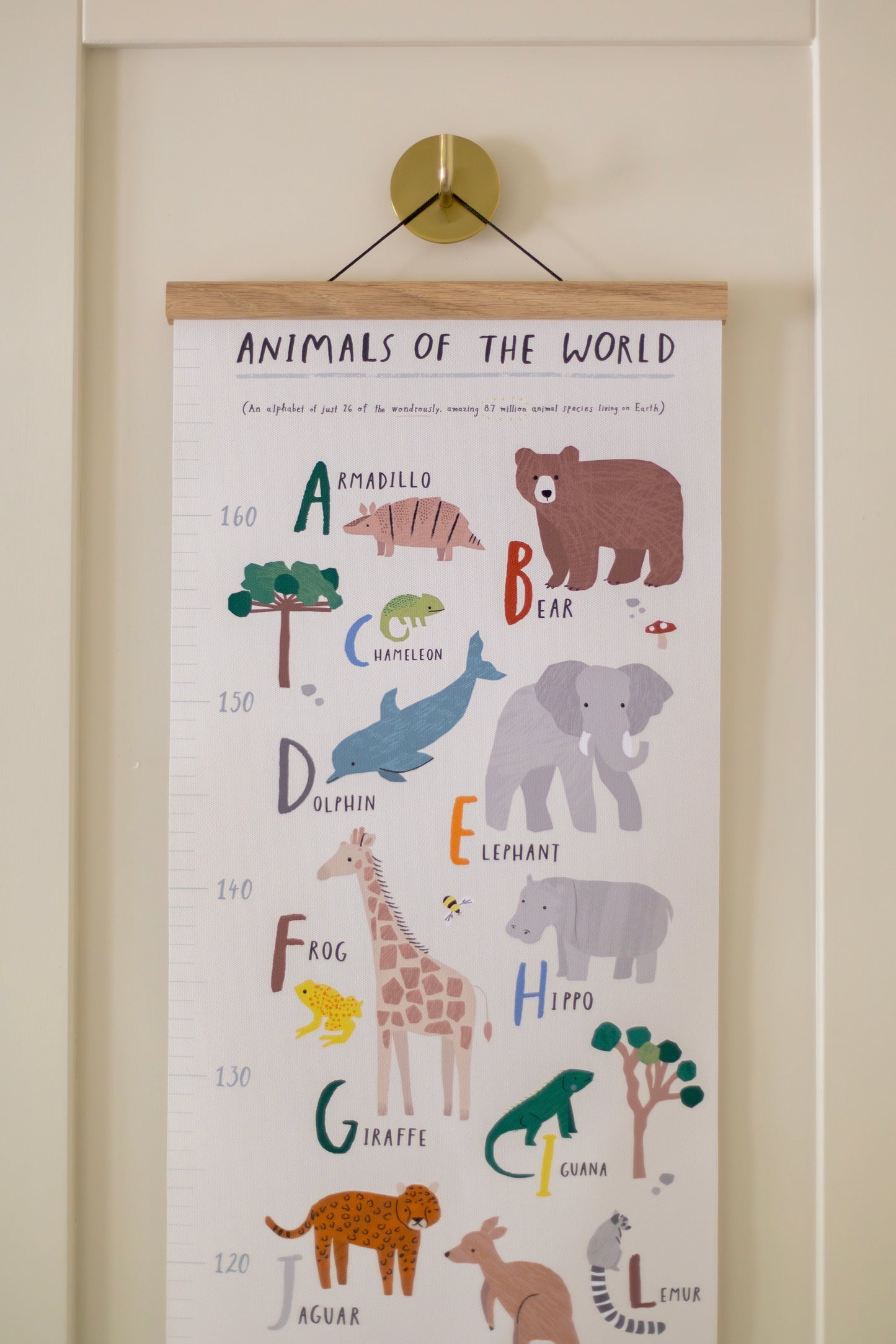 Height Chart Animals Of The World Height Chart with Solid Oak Hanger