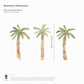 Image to show the height of the individual stickers. Each palm tree is 16cm tall.